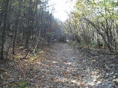 trail;.JPG