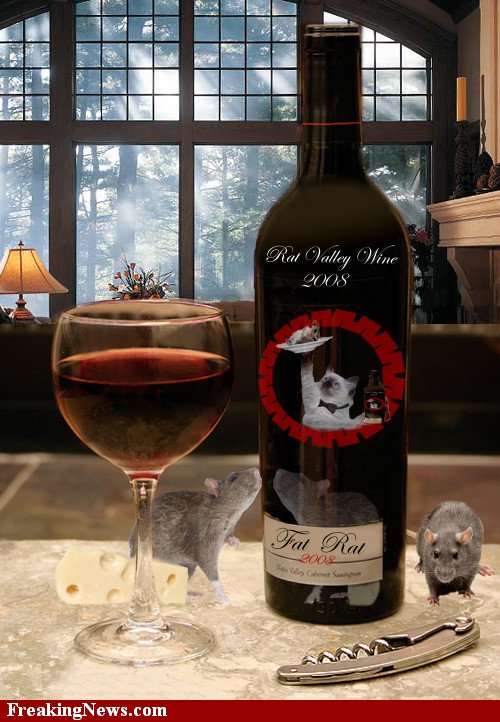 Rat-Wine--35512.jpg