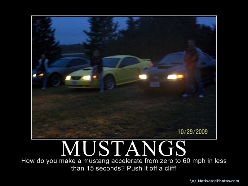 633926809545004500-Mustangs.jpg