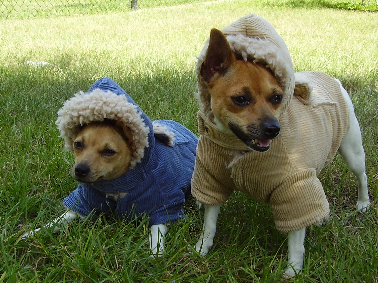 In their winter coats