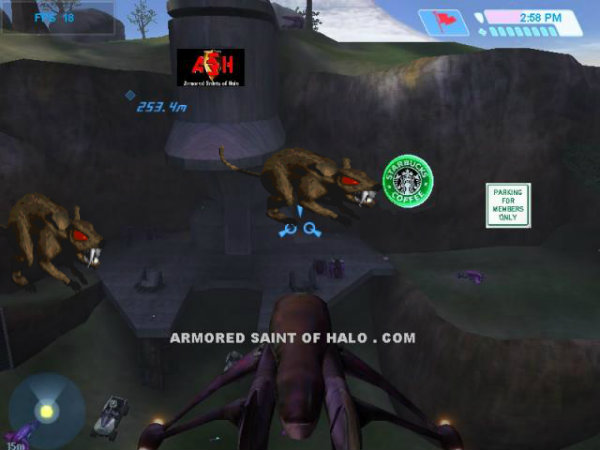 Rat island.jpg