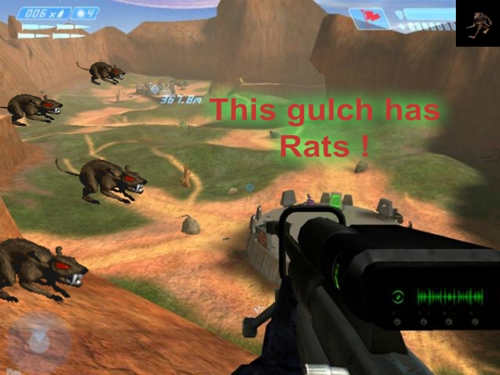 Rat gulch.jpg