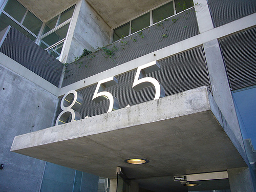855.jpg