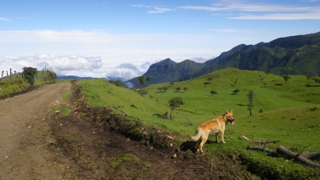 Ecuador.3.jpg